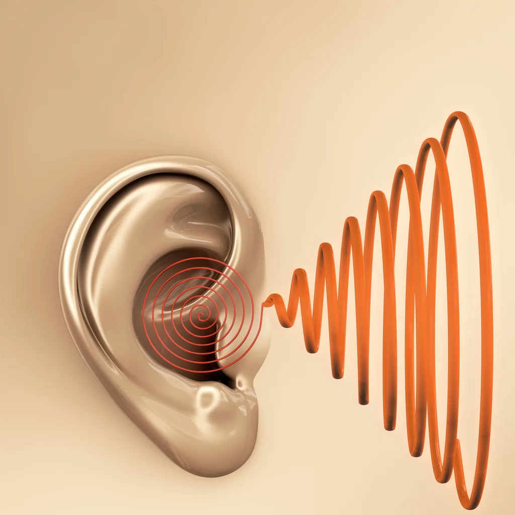 Why Do Hearing Aids Whistle?